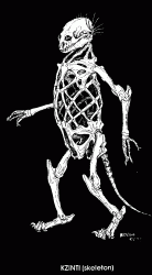 Creatures: A Kzinti Skeleton by Bonnie Dalzell, from the inside cover of the Ballantine edition of Tales of Known Space.
